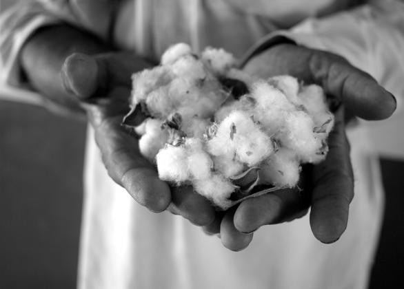 Kala Cotton