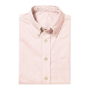 The Atticus 160 in Pink Whisper Pinpoint Oxford Cotton