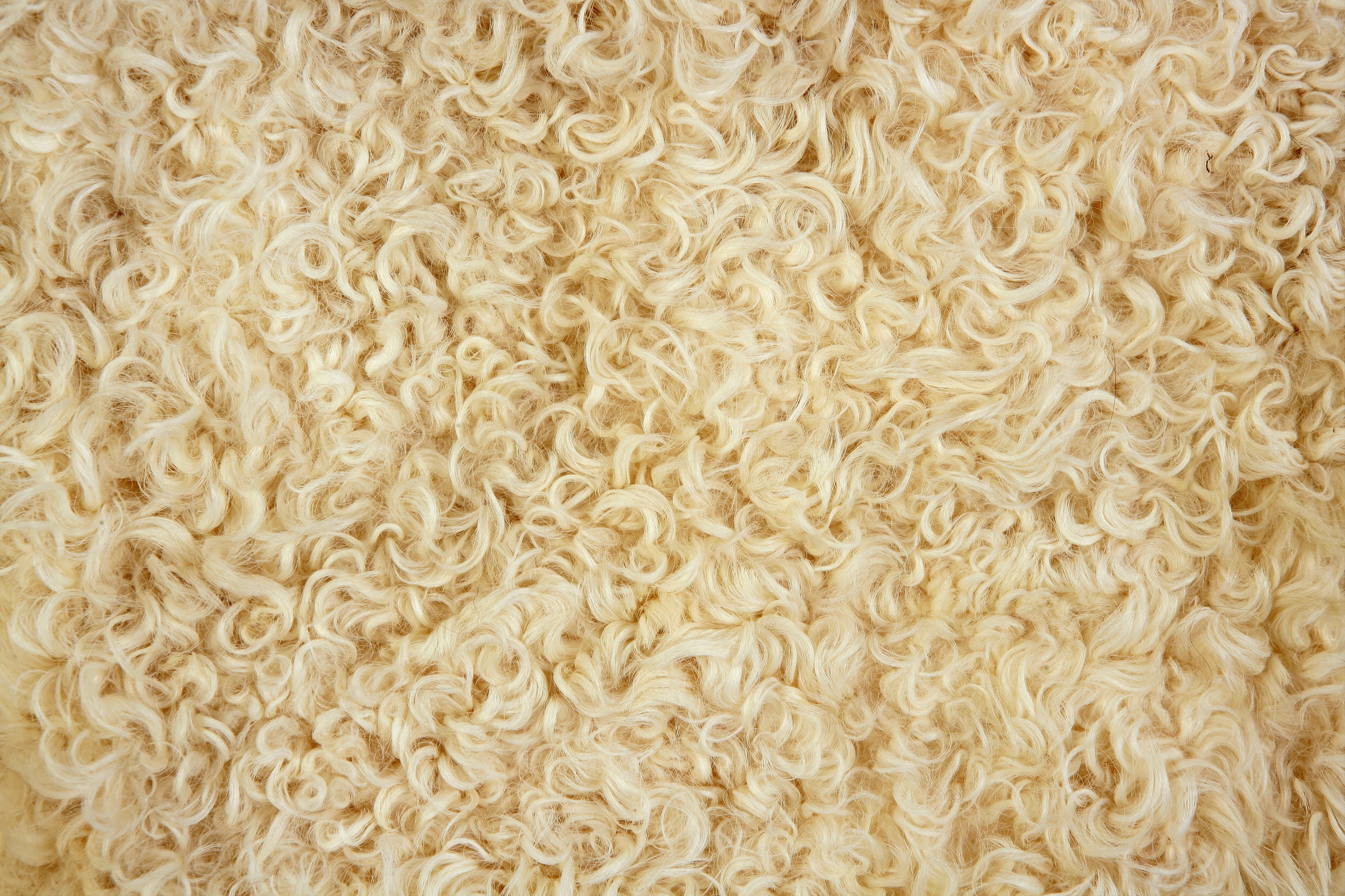 Bamboo fabric