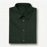 Deep Olive – 3